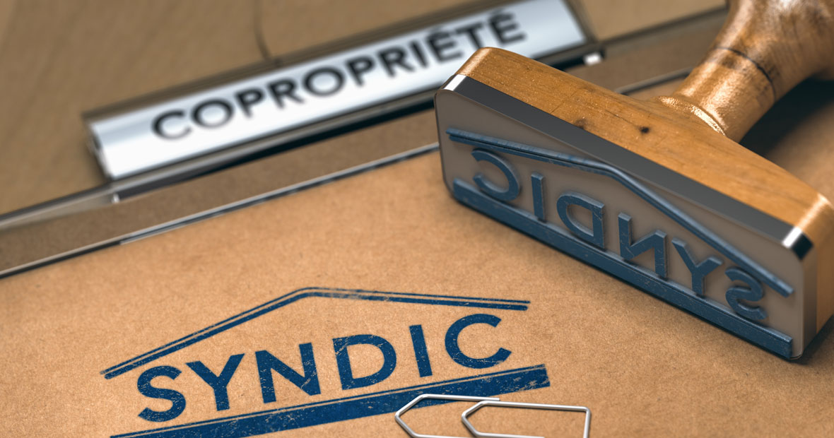 Syndics